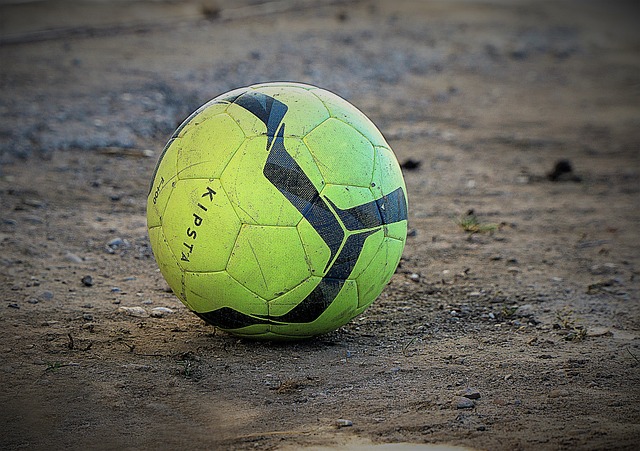 利用这些资 利用这些资