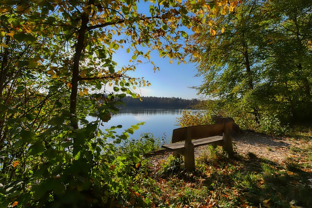 发展和需求 发展和需求