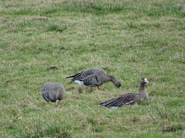 力于曼城 力于曼城