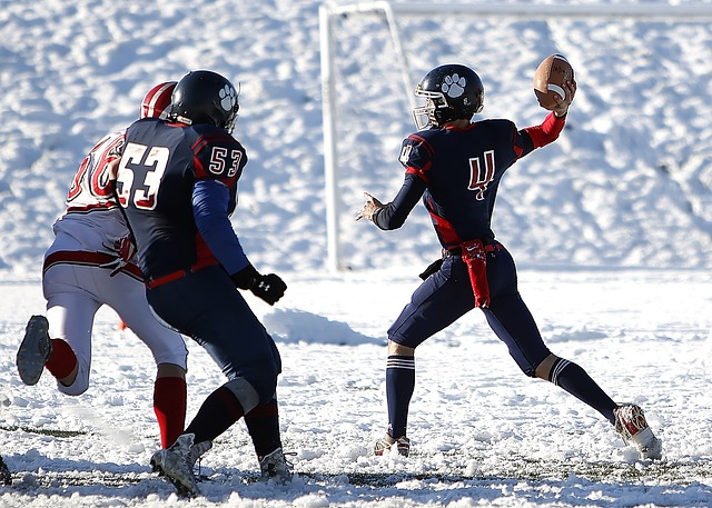 何重振日本 何重振日本