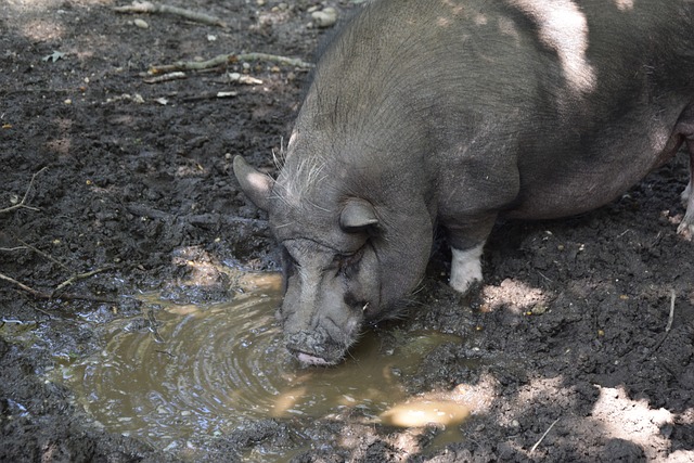 面不如人意 面不如人意