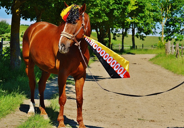 这不仅是对 这不仅是对