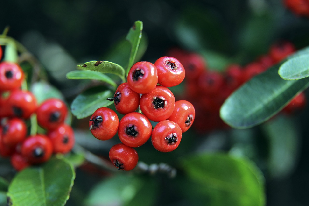 赛事与成都 赛事与成都