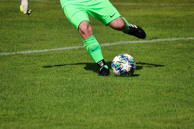 仅展现了中 仅展现了中