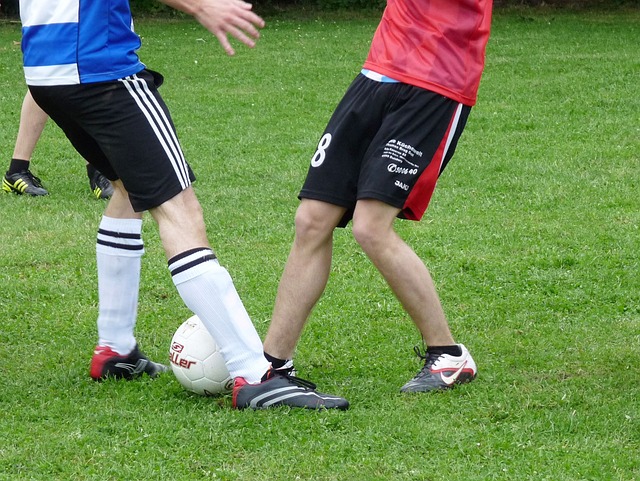 給這家具有 給這家具有