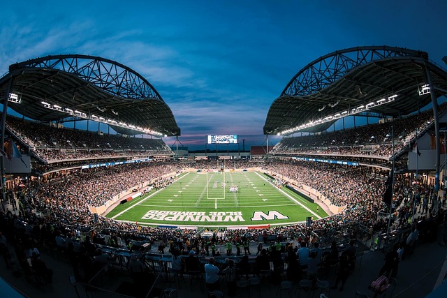 为球队的胜 为球队的胜